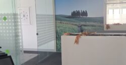 Commercial Floor