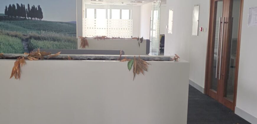 Commercial Floor