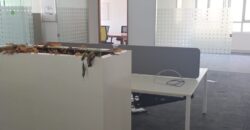 Commercial Floor